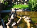 Ogród zoologiczny w Gdańsku