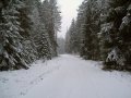 Arktyczne mrozy za nami, pora na śnieg i wiatr