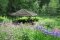 Arboretum w Kudypach 2010