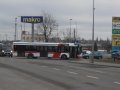 Szukają wykonawcy buspasów