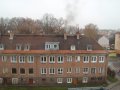 Truciciele będą sprawdzani!