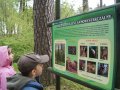 Na zdjęciu punkt na leśnej ścieżce w Kudypach. Fot. Łukasz Kozłowski / olsztyn.com.pl