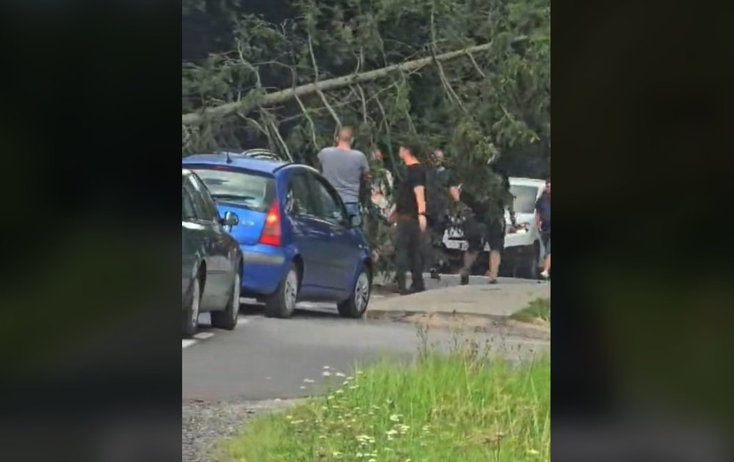 Artykuł: Gmina Dywity. Siłą własnych mięśni usunęli drzewo z DK51. "Aż miło popatrzeć" [WIDEO]