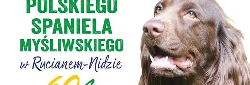 Święto Polskiego Spaniela Myśliwskiego Ruciane-Nida 2026 - Ruciane Nida