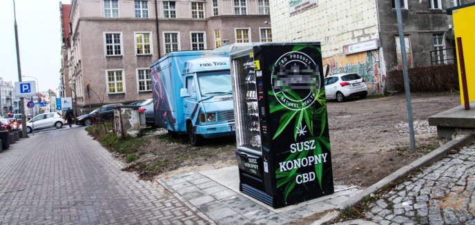 Artykuł: Pod oknami ratusza ''wyrósł''... trawomat [ZDJĘCIA]