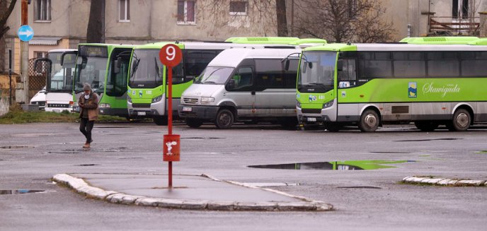 Artykuł: Gmina pod Olsztynem wkrótce uruchomi Publiczny Transport Zbiorowy