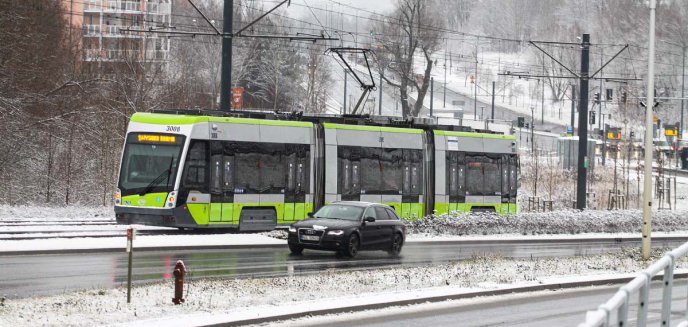 Miasto przygotowuje się do rozbudowy sieci tramwajowej. Wytną ponad tysiąc drzew
