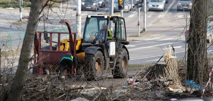 Lasek na Pieczewie pod zabudowę mieszkaniową? Ratusz: 
