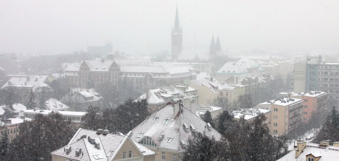 Polskie miasta rozwijają się najszybciej w środkowowschodniej Europie? Pozycja Olsztyna zaskakuje