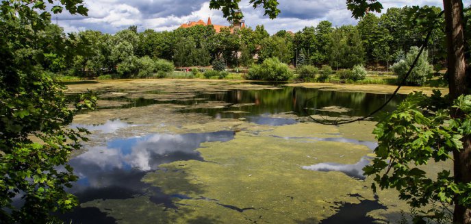 Artykuł: Do 5 razy sztuka? Gmina Olsztyn po raz kolejny rozpoczyna oczyszczanie Jeziora Długiego