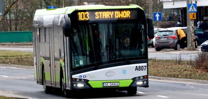 Artykuł: Europejski Dzień Bez Samochodu w Olsztynie. 22 września komunikacja publiczna będzie darmowa