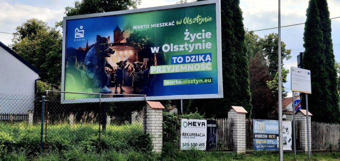 Artykuł: „Dzika przyjemność mieszkać w Olsztynie”. Ruszyła nowa forma promocji miasta