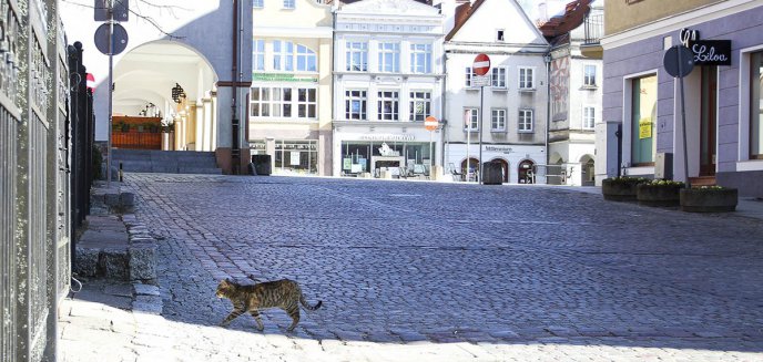 Koronawirus. Na Warmii i Mazurach odnotowano mniej niż 100 zakażeń