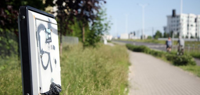 W Olsztynie brakuje worków na odchody, ale nie na Brzezinach. Dlatego, że mieszka tam prezydent?