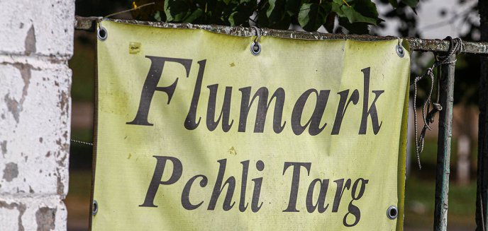 Flumark zostanie w pobliżu Zatorza? Władze miasta wskazują Koszary Dragonów jako nową lokalizację [WIDEO]