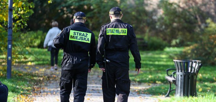 Artykuł: Ekopatrol w Olsztynie działa. Straż miejska przyjęła aż tysiąc zgłoszeń od kwietnia