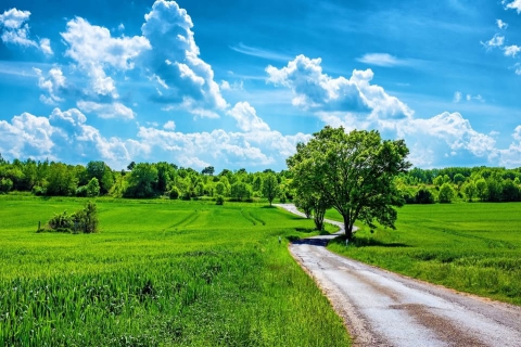DŁUGI WEEKEND CZERWCOWY W NATURZE DLA GOŚCI INDYWIDUALNYCH! MASAŻE, REFLEKSOLOGIA, UZDRAWIANIE DŹWIĘKAMI KAMERTONÓW, KONSULTACJE AJURWEDY